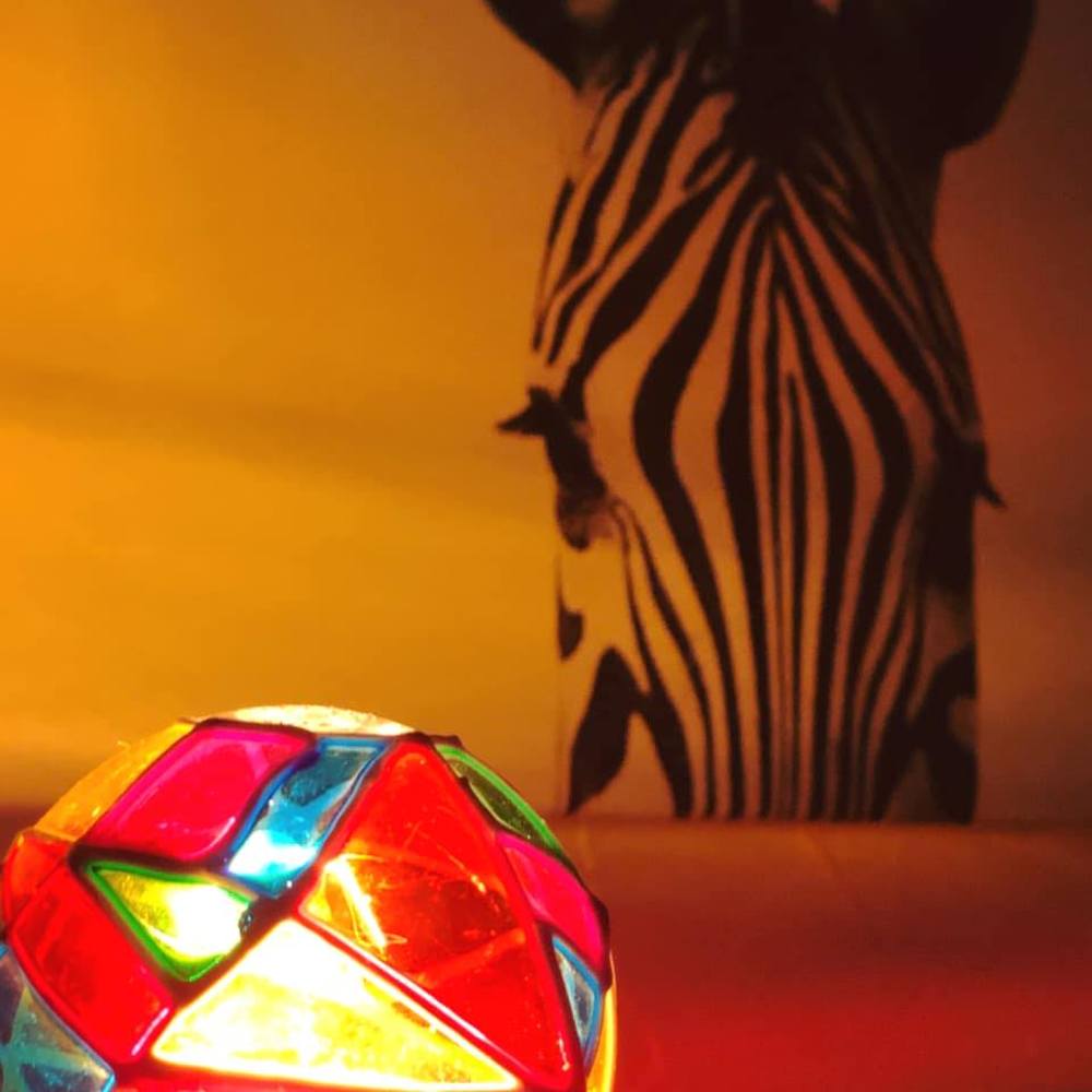 Meet your Posher, Bobby